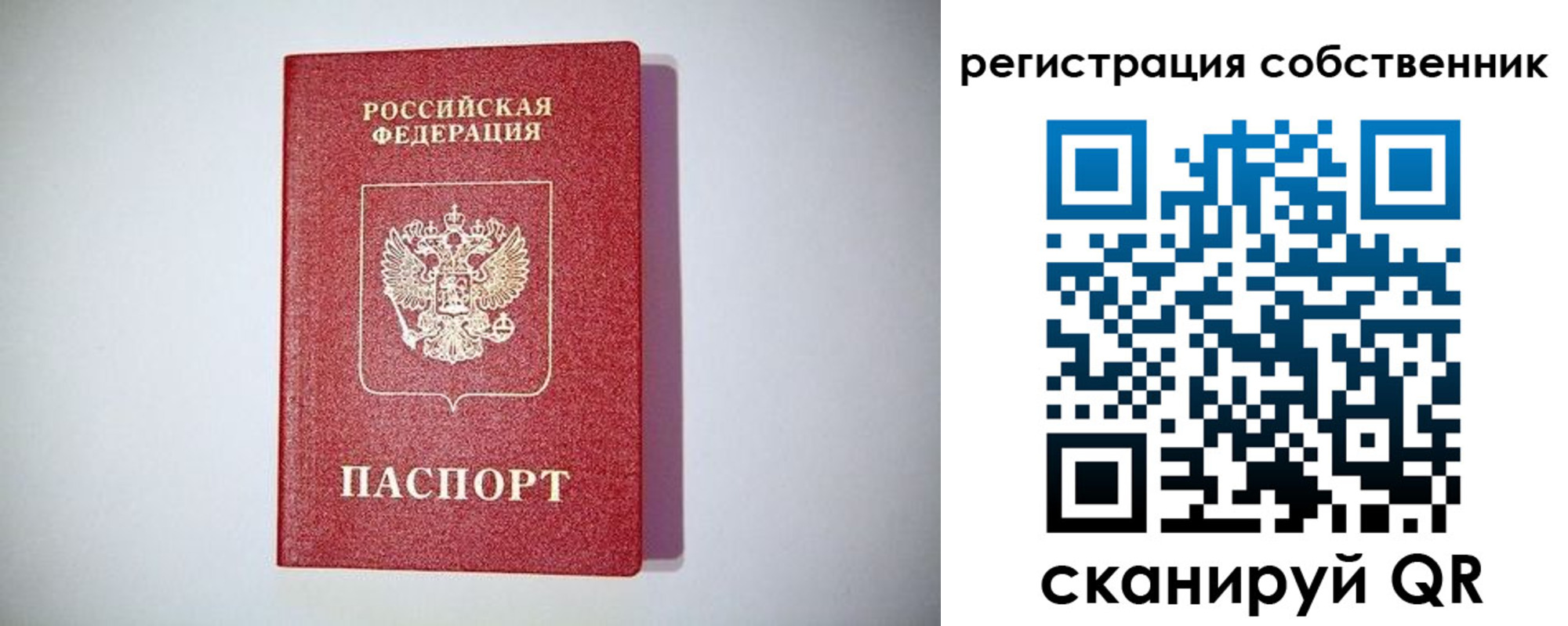 временная регистрация для школы в Новозыбкове